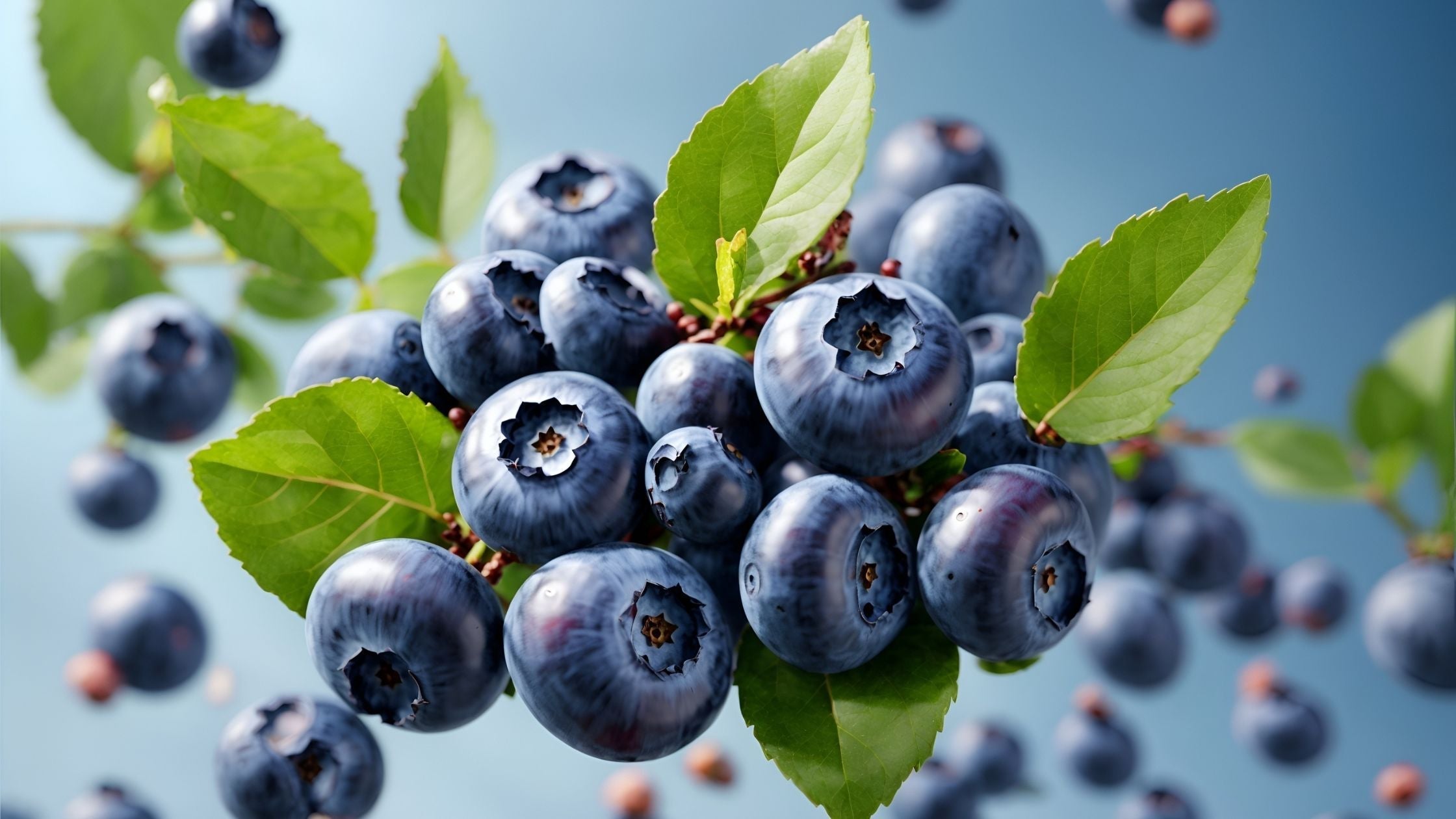 Heidelbeer-Gesichtsmaske in der K-Beauty Hautpflege – antioxidative Wirkung für strahlende, gesunde Haut