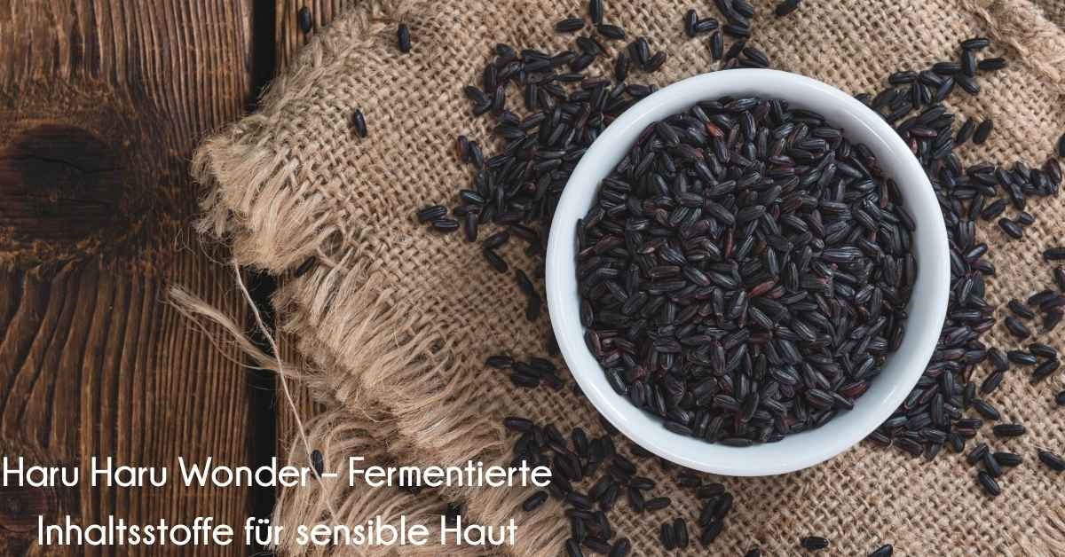 Haru Haru Wonder Black Rice Toner