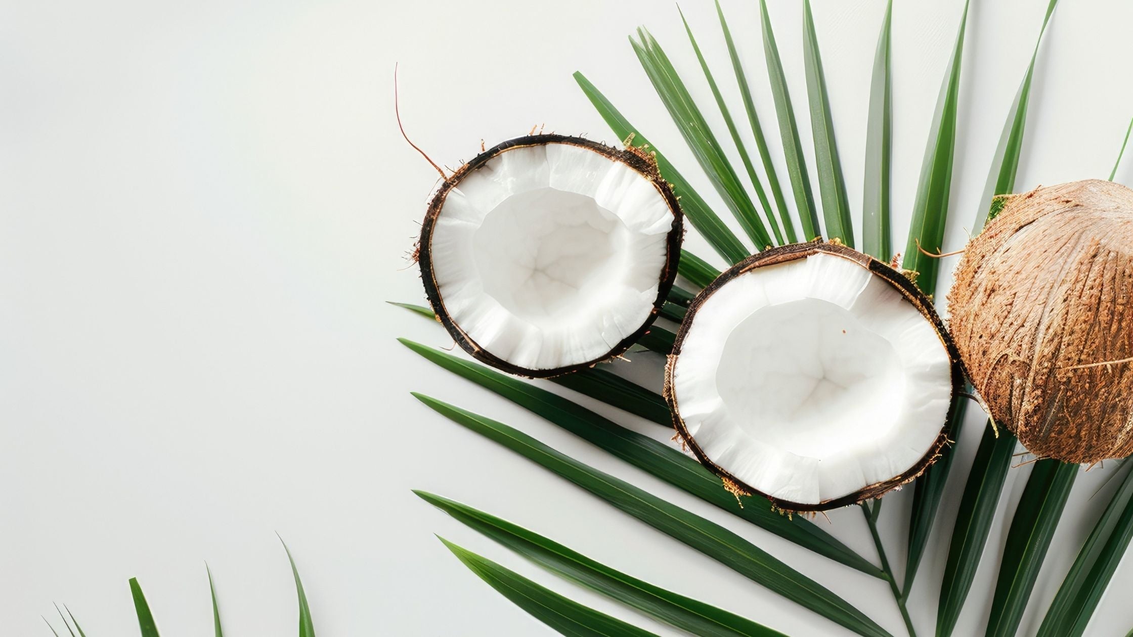 Kokosnuss und Palmenblätter – natürliche Inspiration für K-Beauty Gesichtsmasken mit Kokosnuss