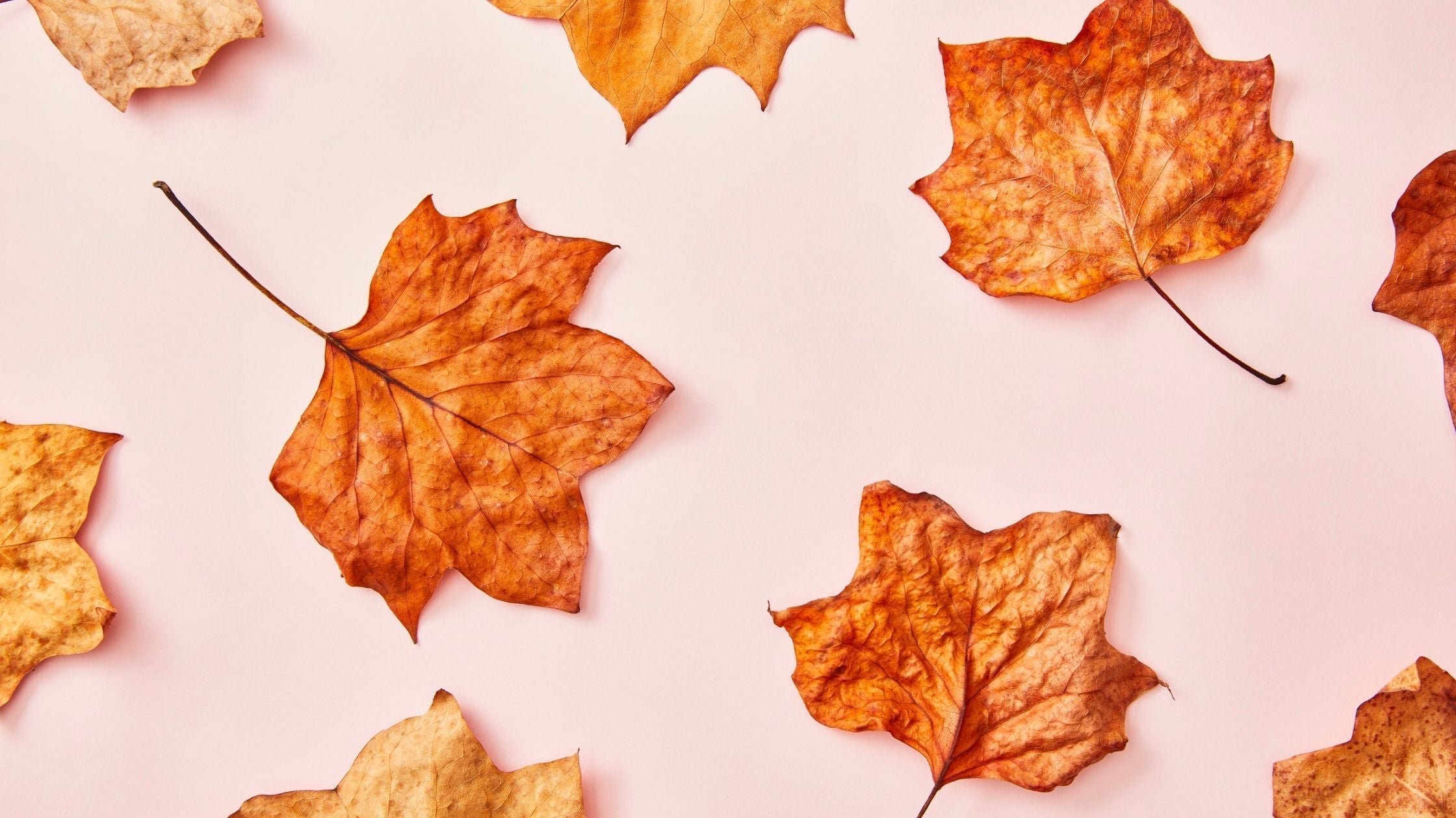 Frau pflegt ihre Haut im Herbst um sie gesund strahlend und hydratisiert zu halten Tipps fur die perfekte Herbst Hautpflege Routine