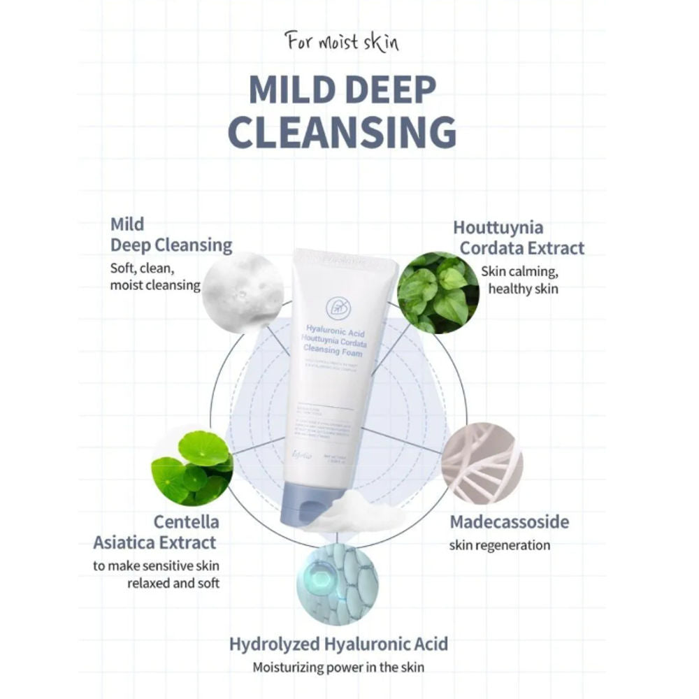 Korean Kosmetik Esfolio Hyaluronic Acid Houttuynia Cordata Cleansing Foam 100 ml mit EAN 8809589393518 Koreanische Kosmetik